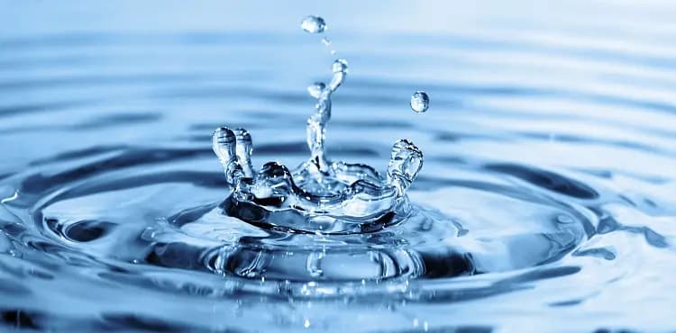 Монопродукты