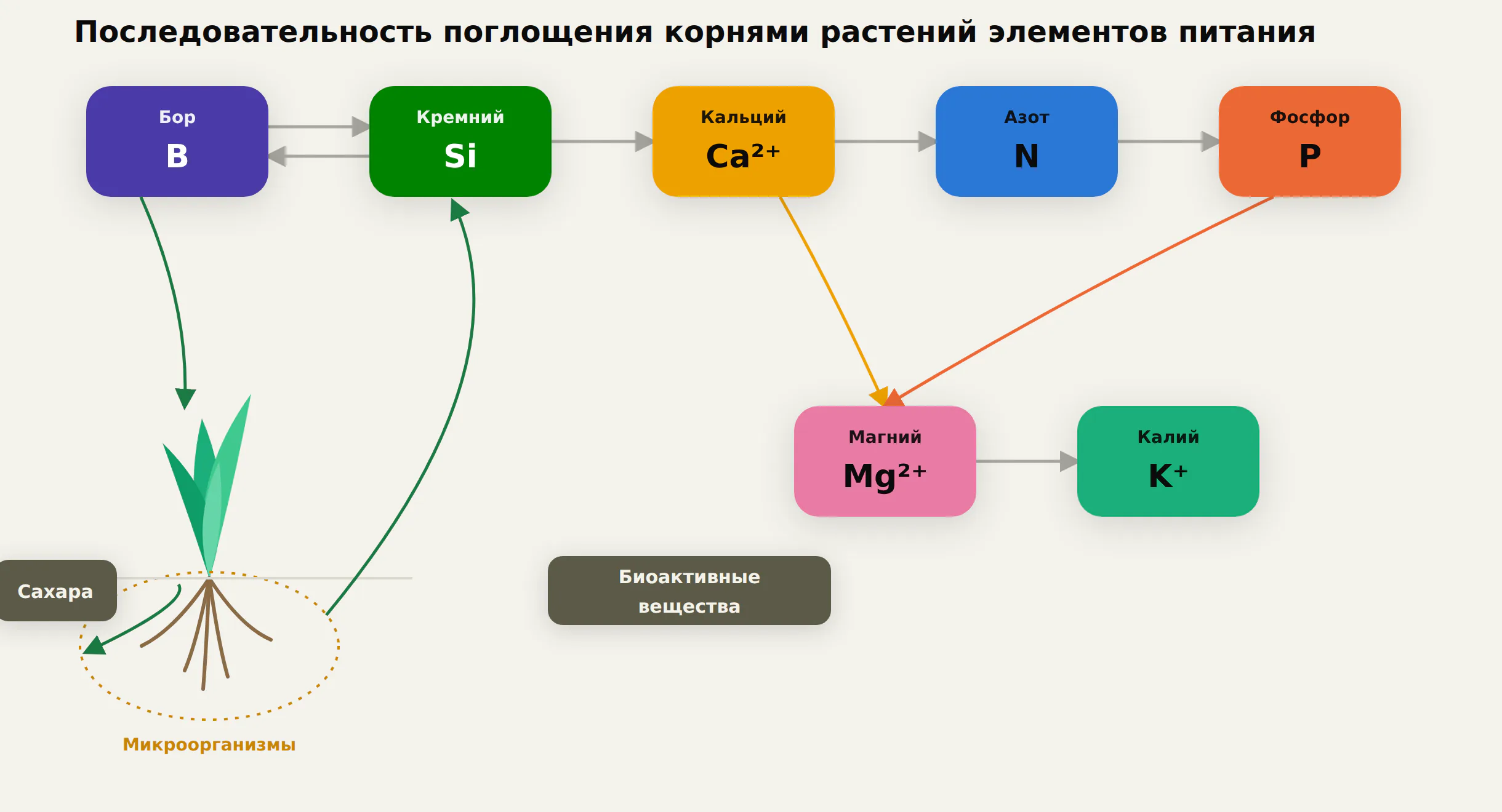 diagram1 fixed5