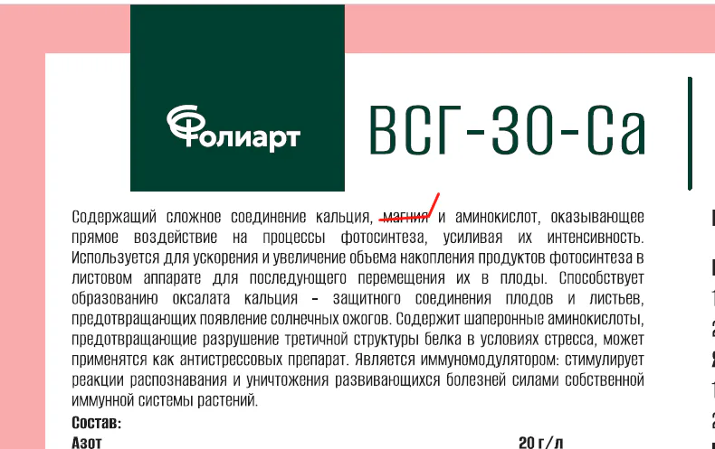 Масличная пальма